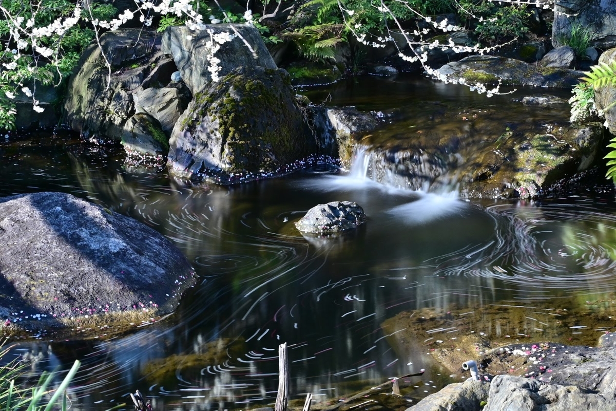 f:id:psato7:20220307204150j:plain