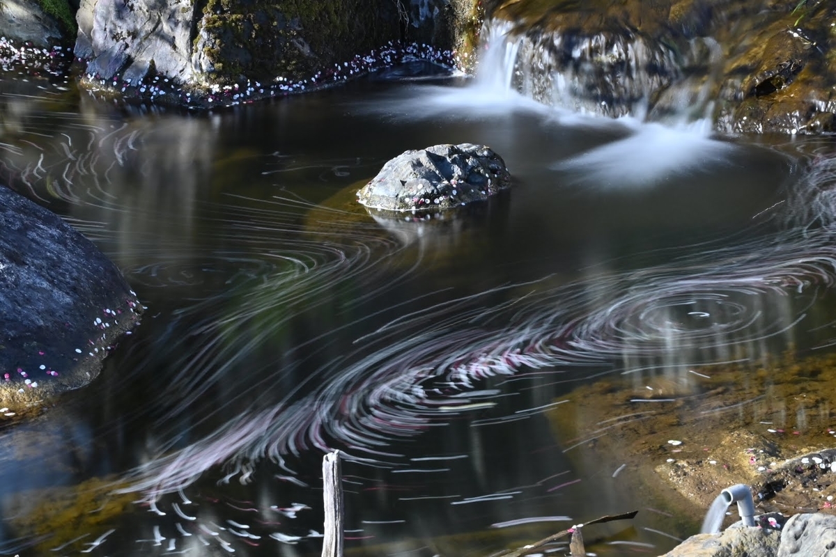 f:id:psato7:20220307204204j:plain