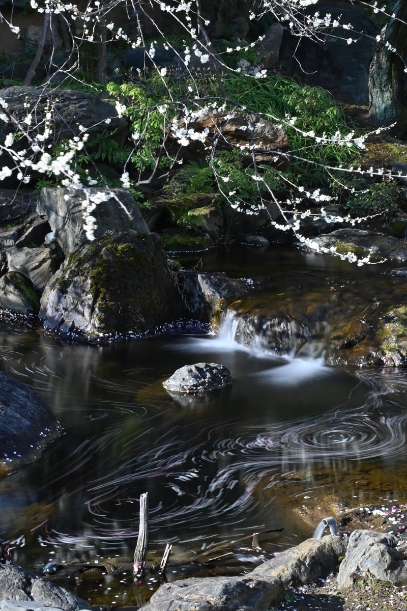 f:id:psato7:20220307204255j:plain