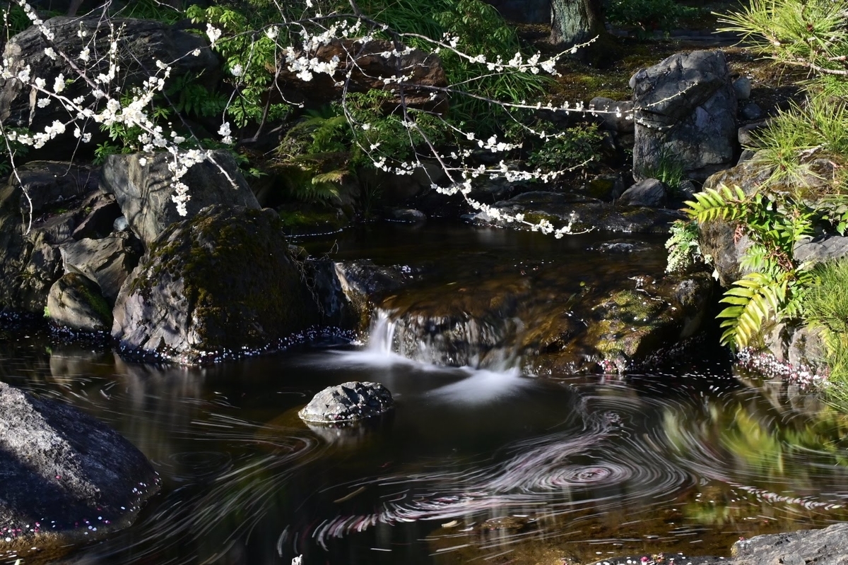 f:id:psato7:20220307204359j:plain