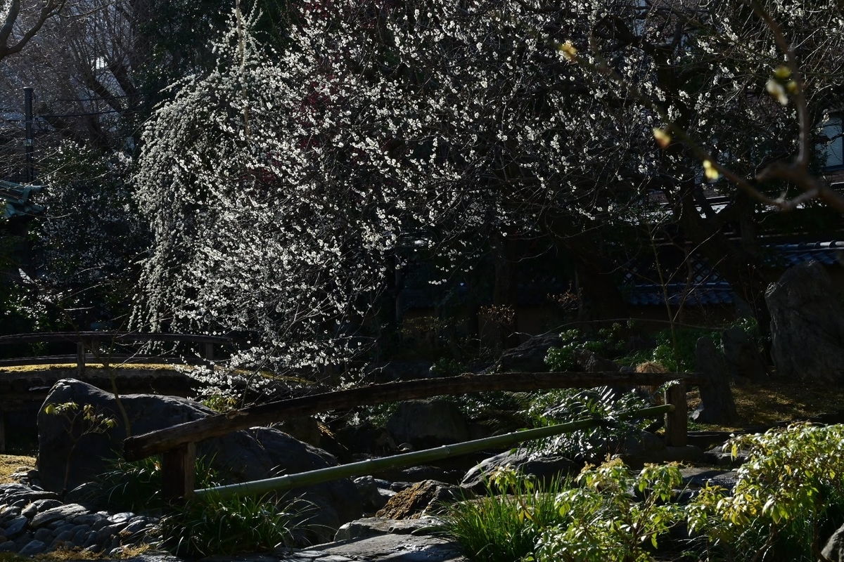 f:id:psato7:20220307204802j:plain