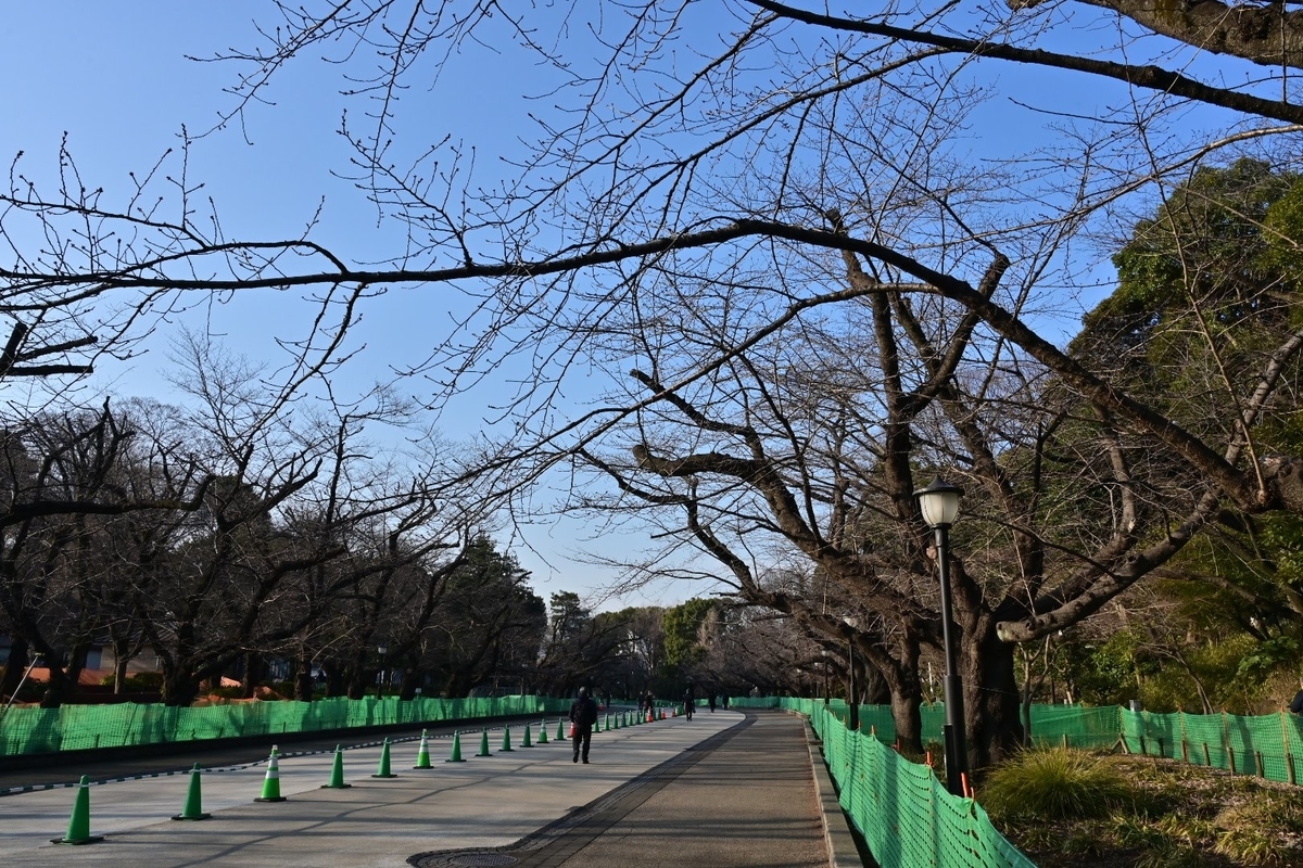 f:id:psato7:20220310072400j:plain