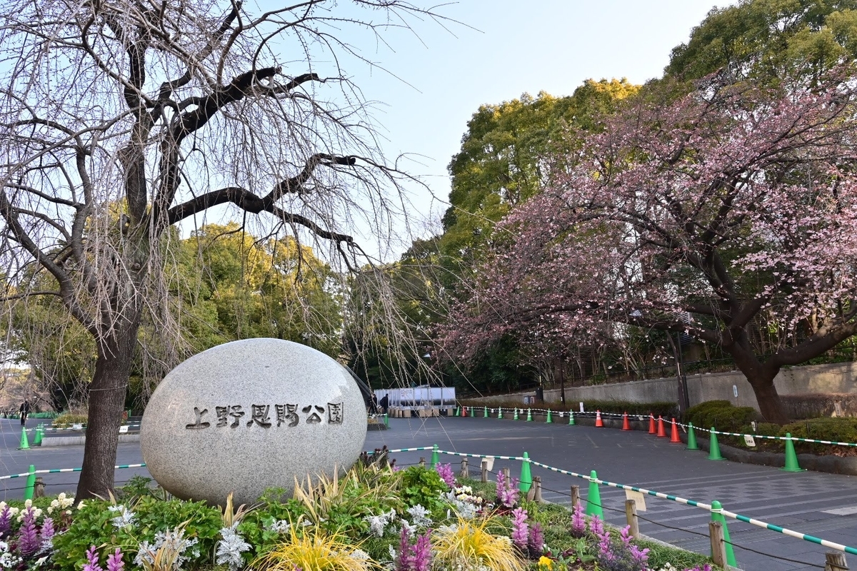 f:id:psato7:20220311065809j:plain