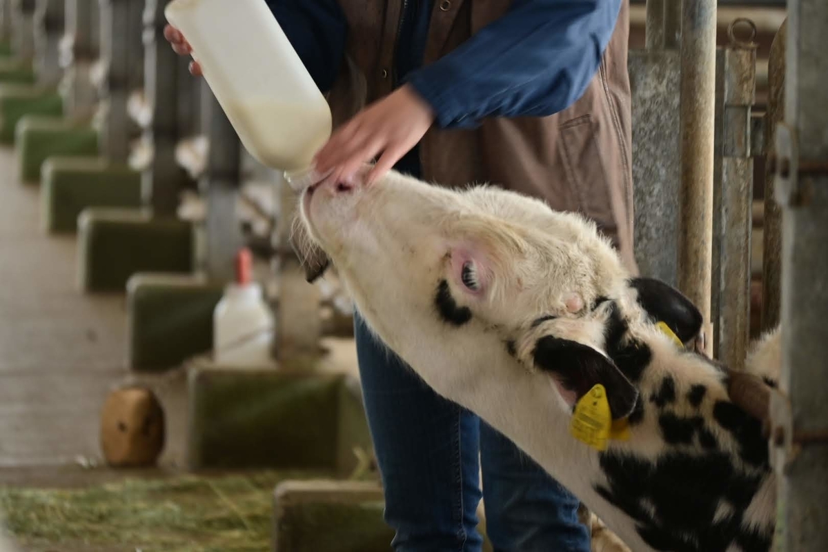 f:id:psato7:20220325060133j:plain