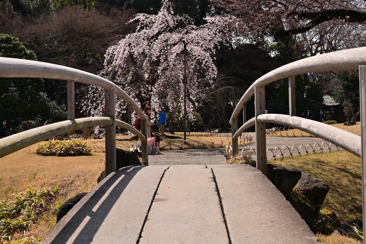 f:id:psato7:20220326074920j:plain