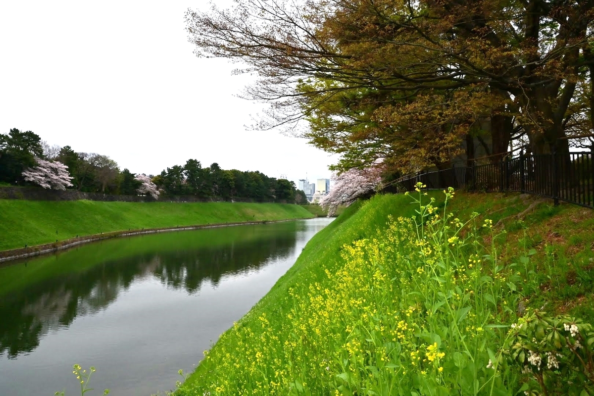 f:id:psato7:20220403095950j:plain
