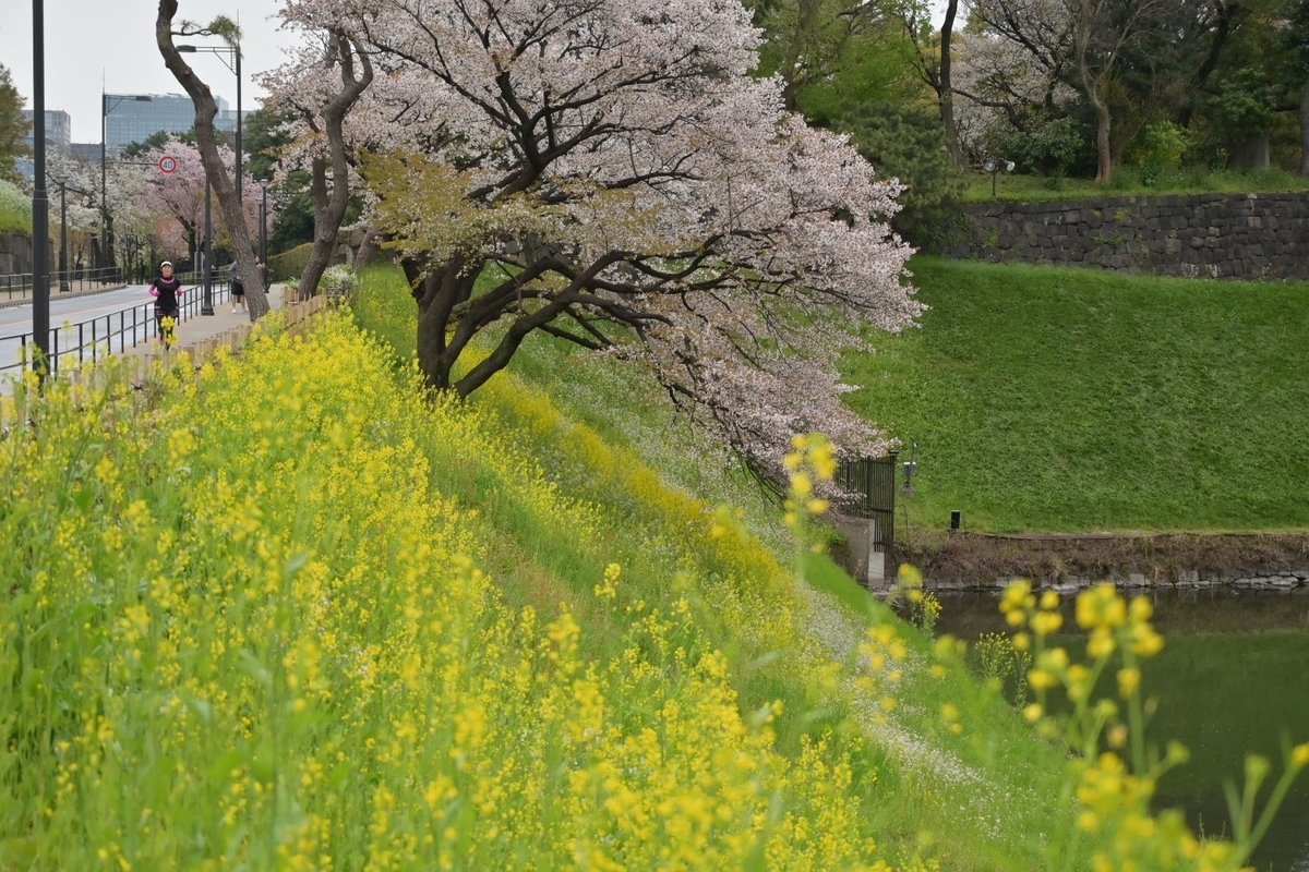 f:id:psato7:20220403100455j:plain