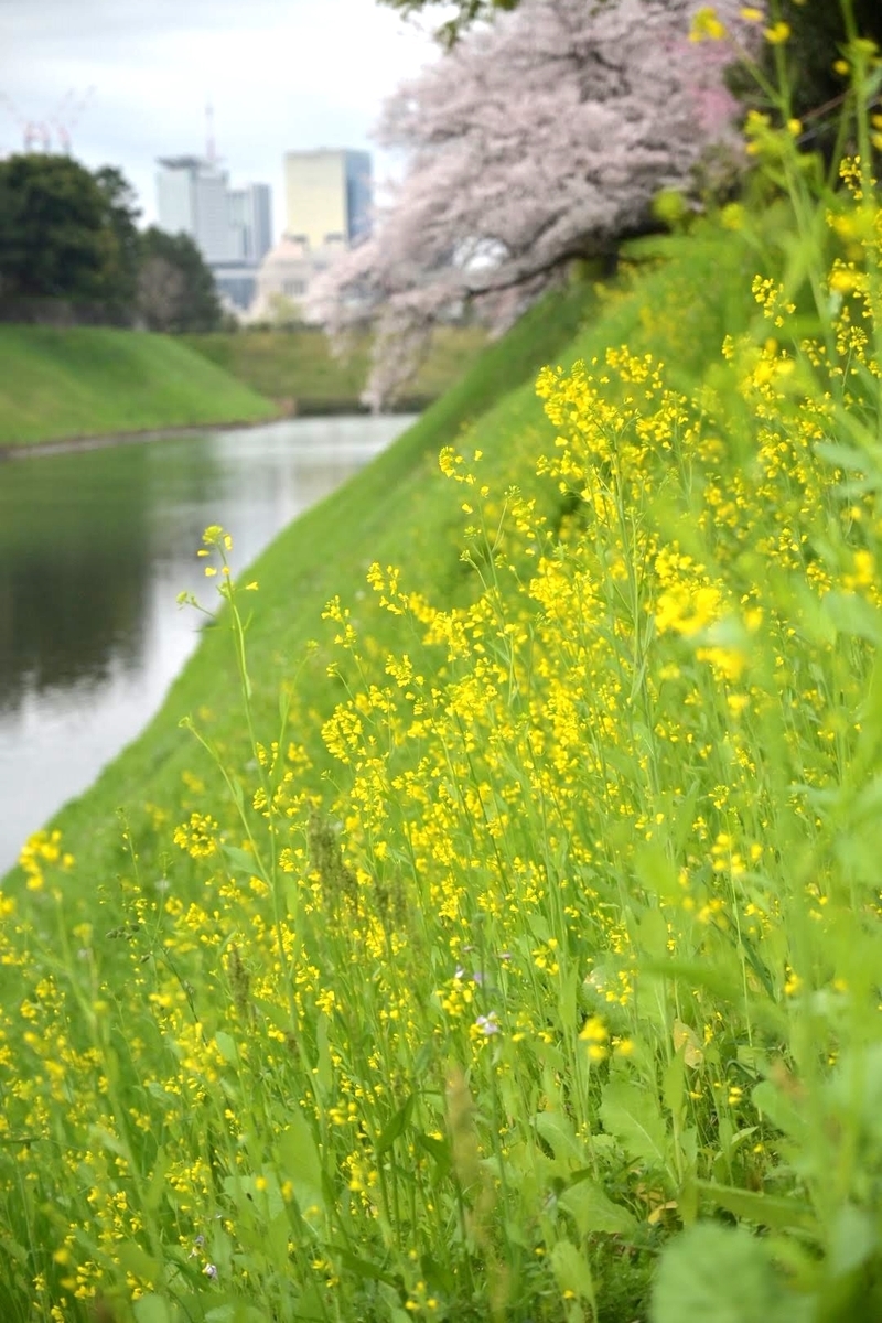 f:id:psato7:20220403100833j:plain