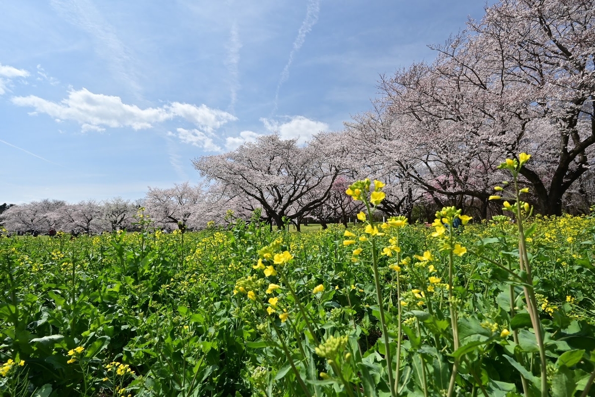 f:id:psato7:20220404072012j:plain