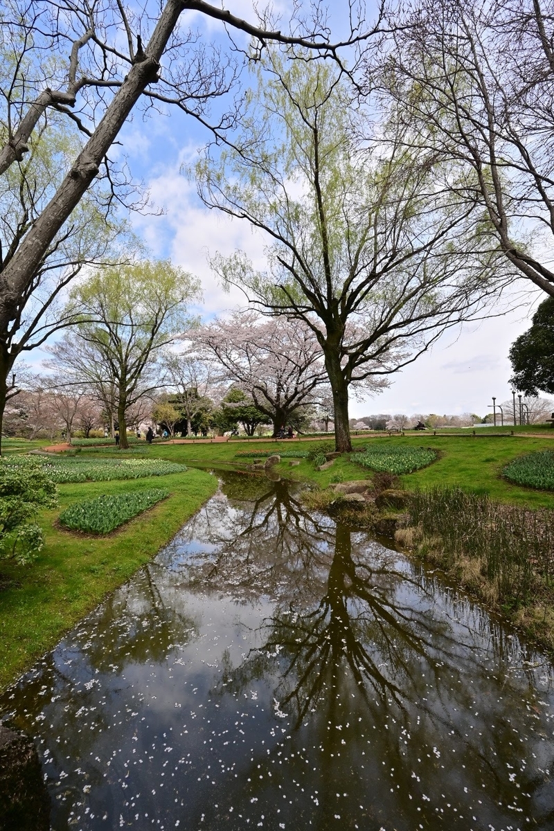 f:id:psato7:20220404072239j:plain