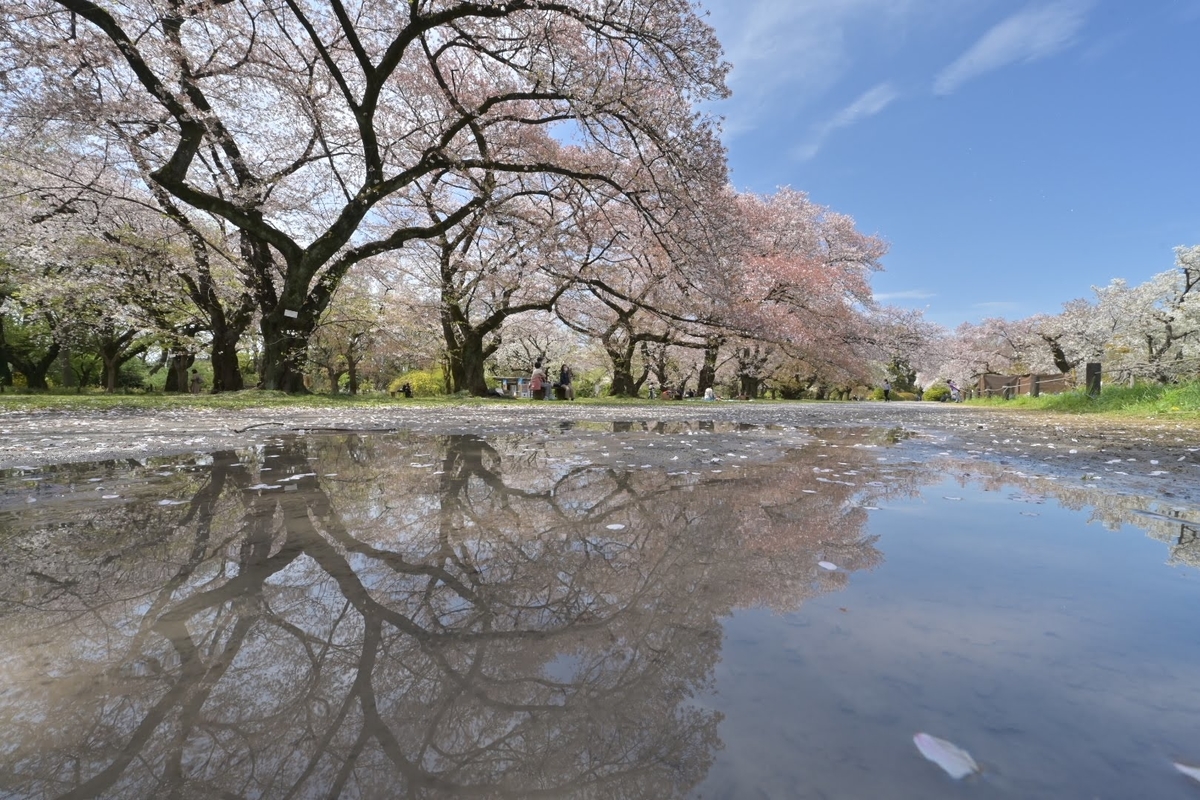 f:id:psato7:20220408055334j:plain