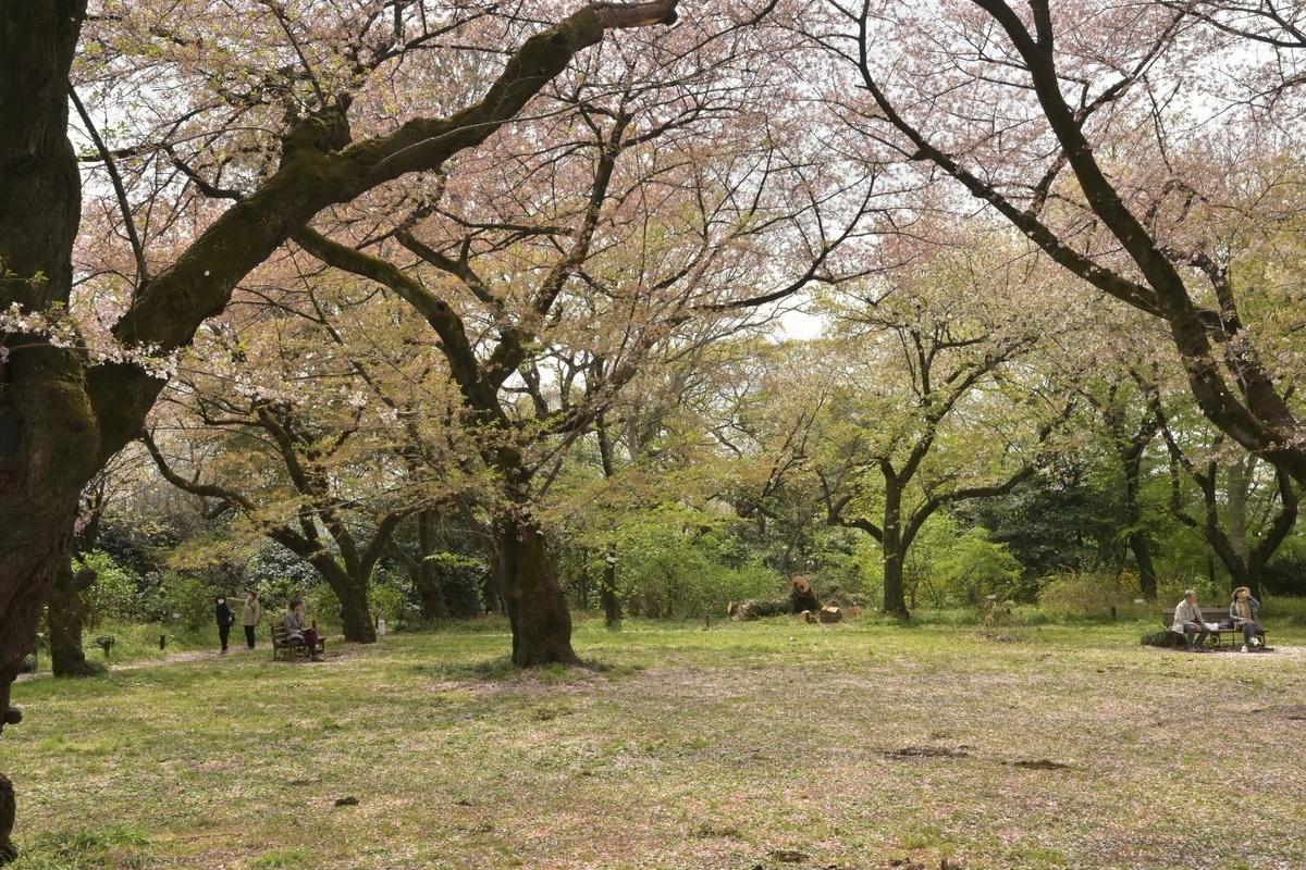 f:id:psato7:20220408070040j:plain