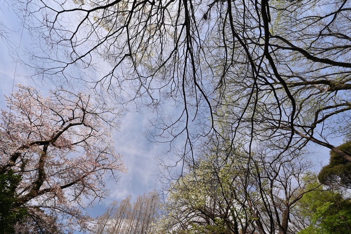 f:id:psato7:20220408070931j:plain