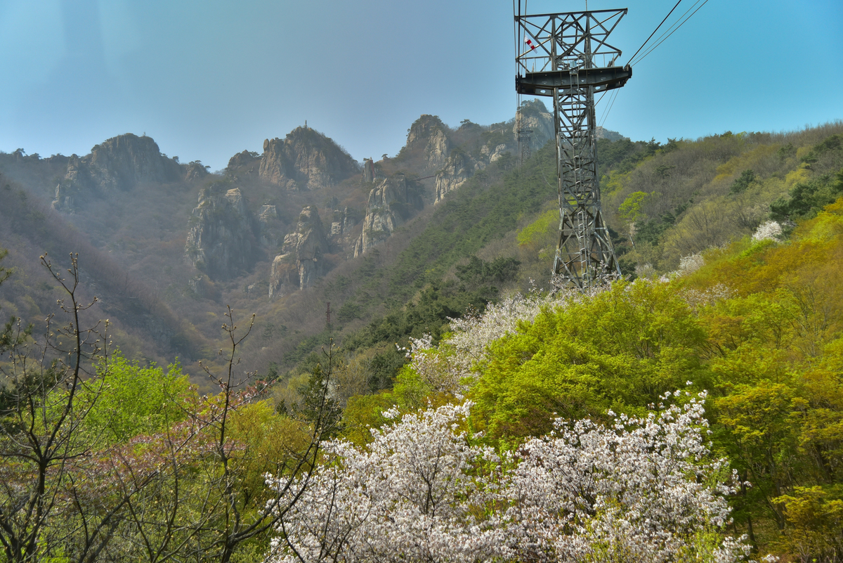 f:id:psato7:20220409081127j:plain
