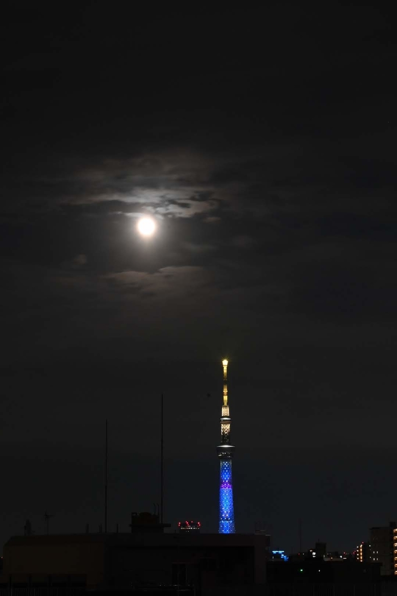 f:id:psato7:20220418073053j:plain