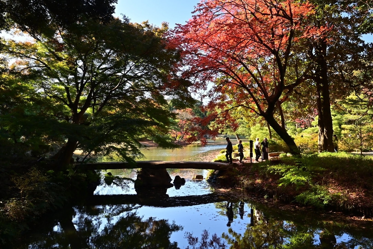 香合 雲錦（うんきん） 琵琶、 四代 眞清水 藏六（ましみず ぞうろく）作