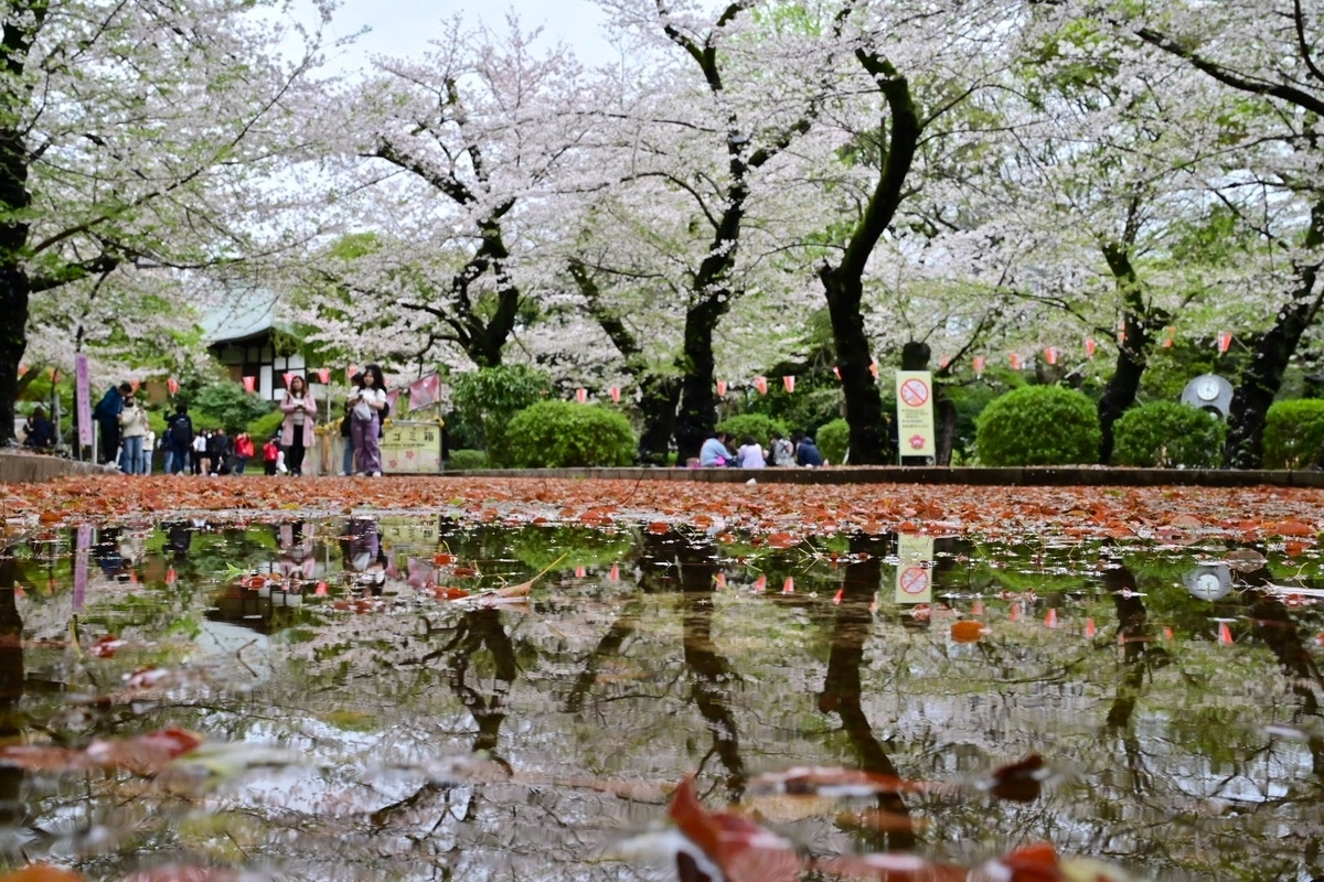 水彩画 (上野公園 2022年 ) 水彩画 (上野公園 2022年 )
