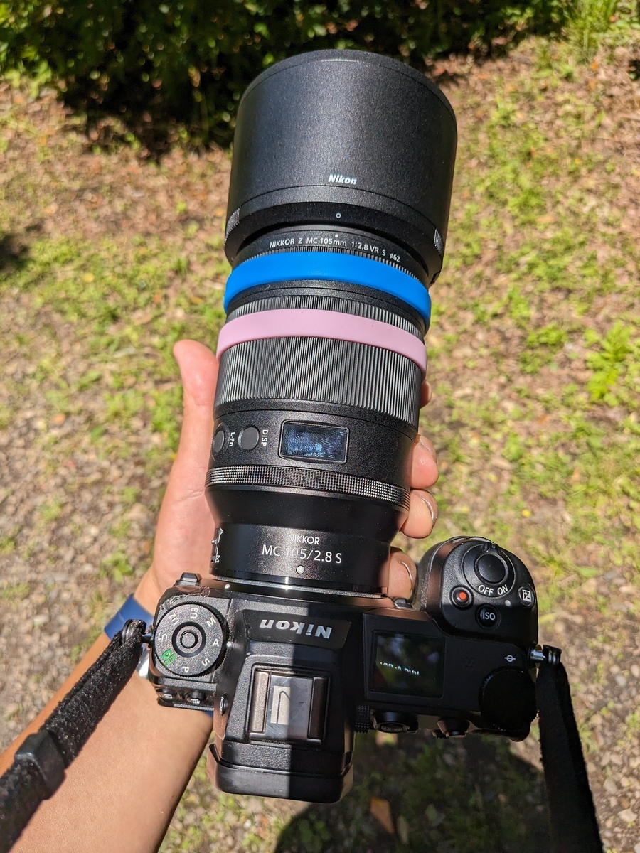 📷️対昆虫兵器『NIKKOR Z MC 105mm f/2.8 VR S』購入しました
