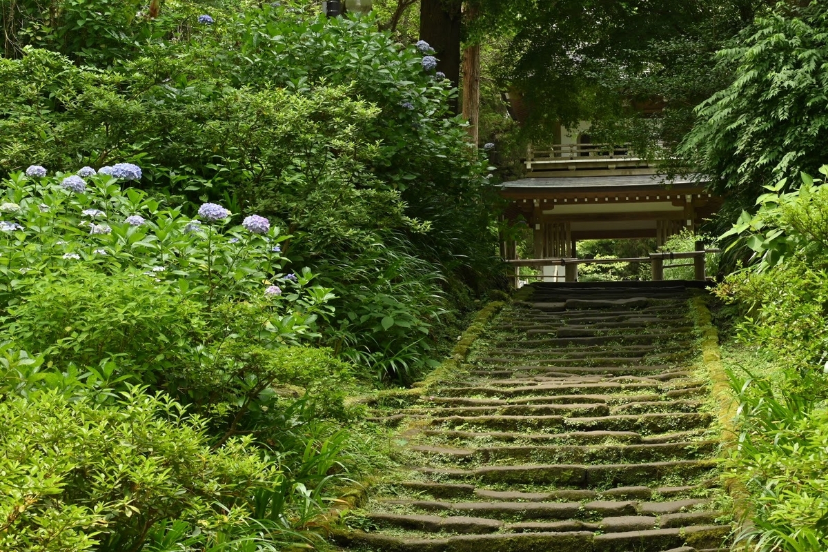 ✾北鎌倉 浄智寺に訪問しました❗ - photo & hobby