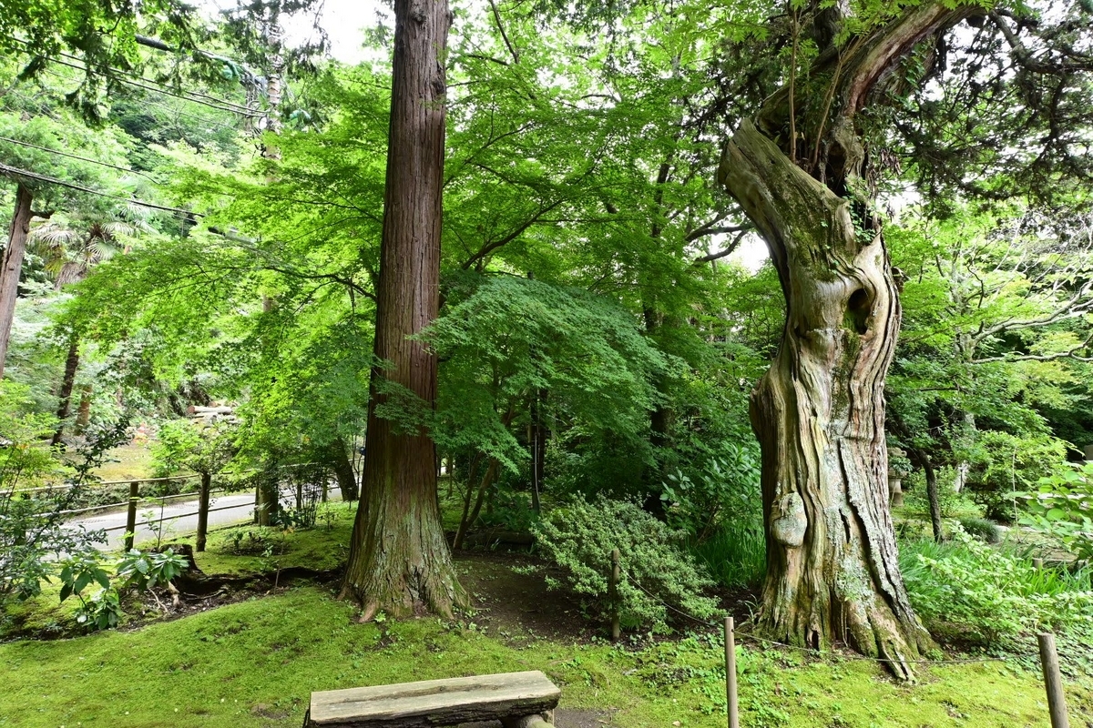 ✾北鎌倉 浄智寺に訪問しました❗ - photo & hobby