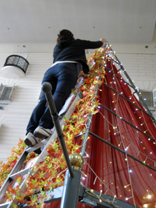 f:id:psmile:20121129072314j:image