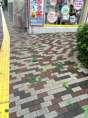 f:id:psmile:20170718162119j:plain f:id:psmile:20170718162119j:plain