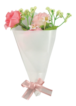 f:id:psmile:20171123122126p:plain