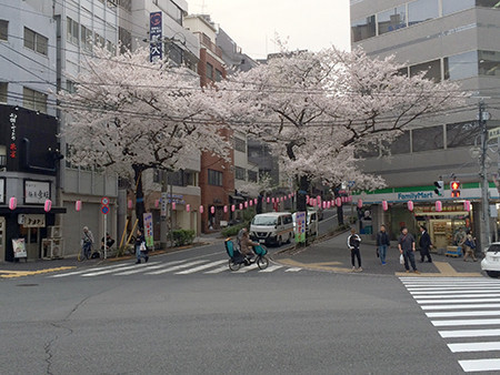 f:id:psmile:20191230134205p:plain f:id:psmile:20191230134205p:plain