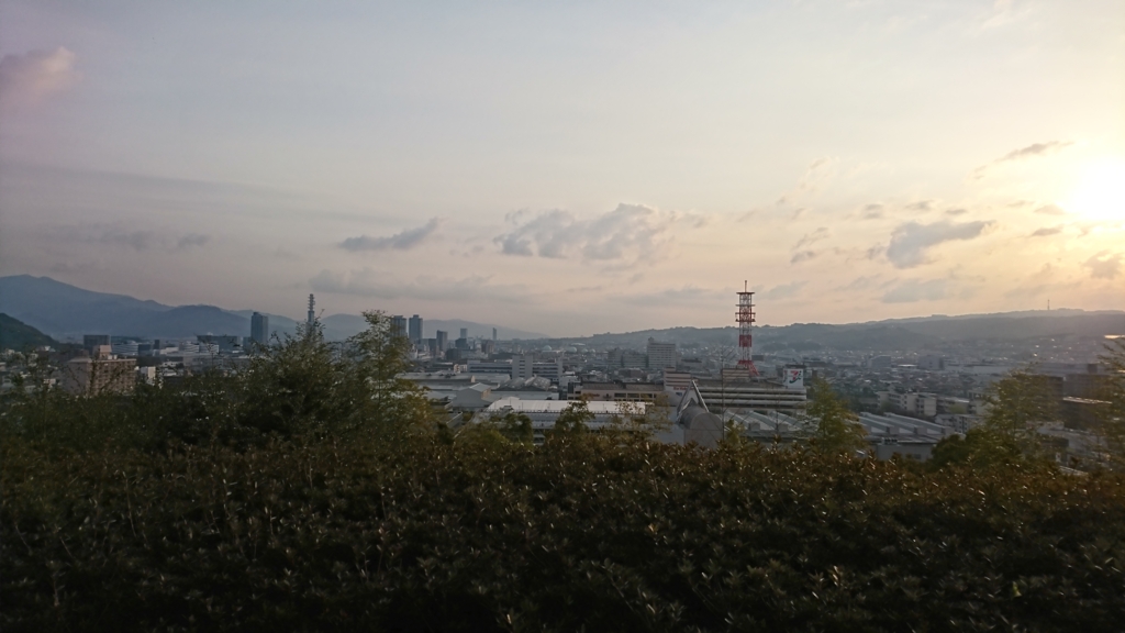 富士山は見えなかった