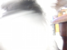 Tanukijの日記 今日も晴天 視界良し