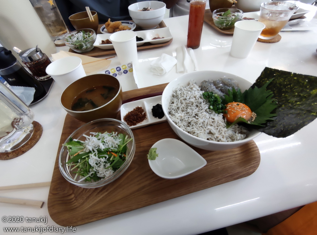 f:id:psptanukij:20200920232342j:plain f:id:psptanukij:20200920232342j:plain
