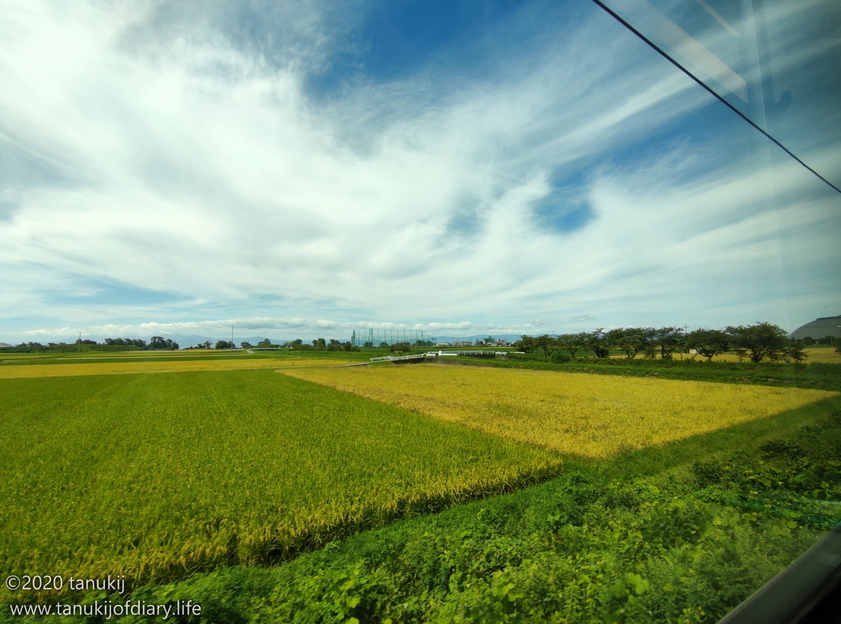 f:id:psptanukij:20201130172045j:plain