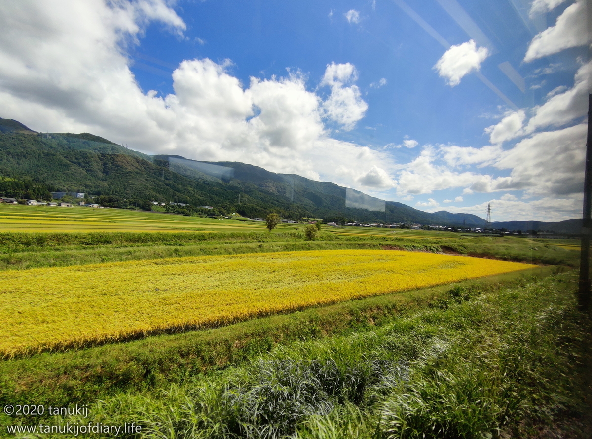 f:id:psptanukij:20201130173454j:plain