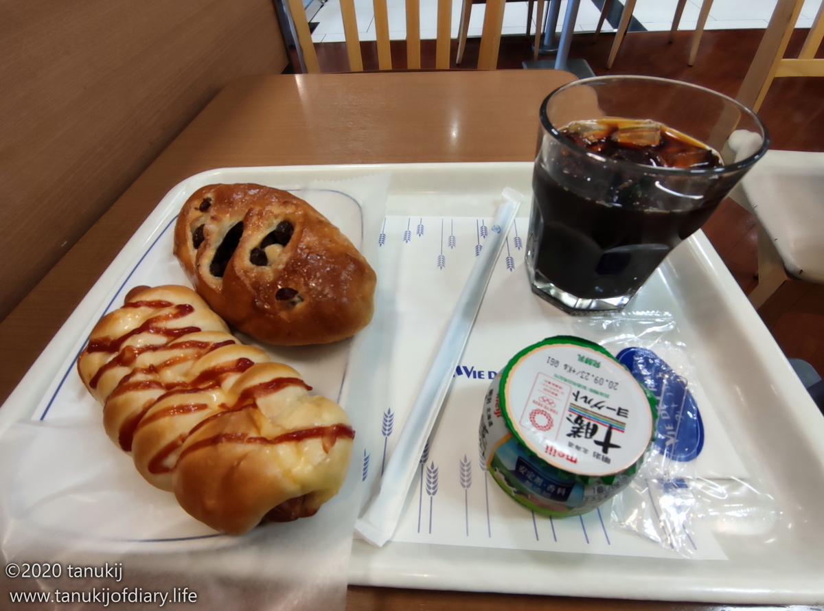 f:id:psptanukij:20201130174635j:plain