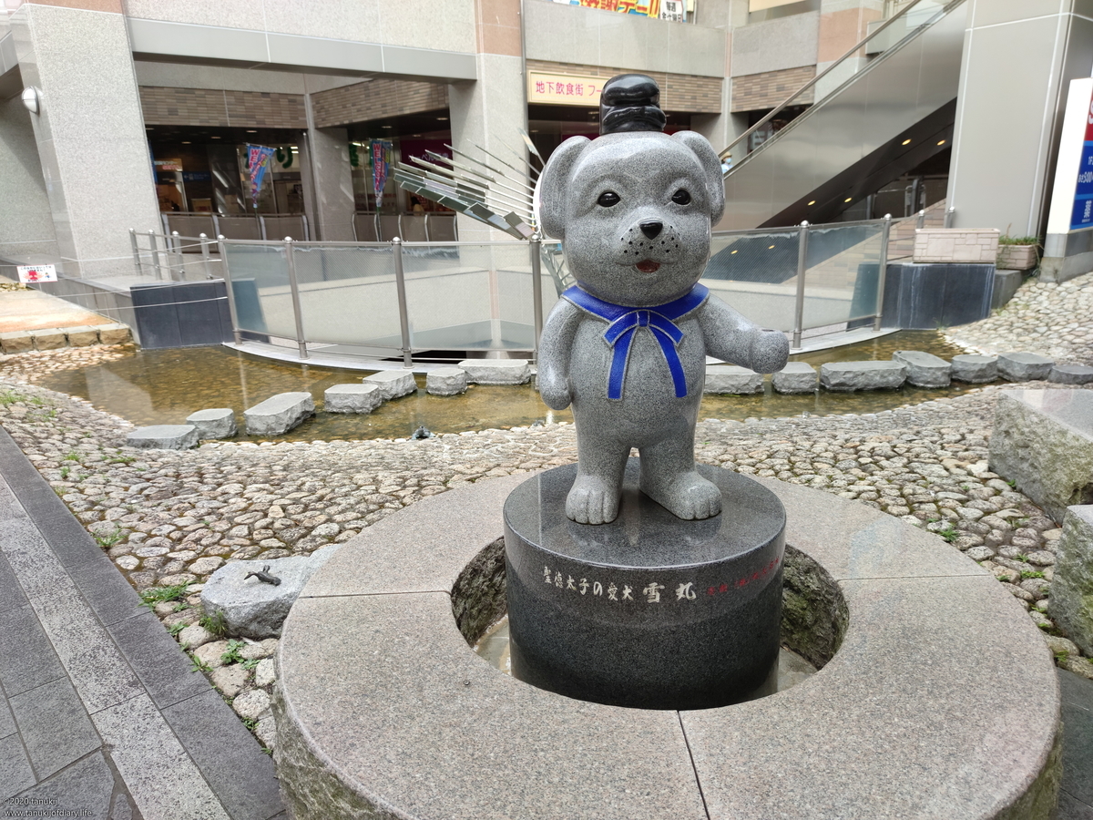 f:id:psptanukij:20201130175214j:plain