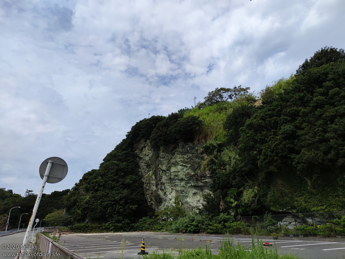 f:id:psptanukij:20201130180311j:plain