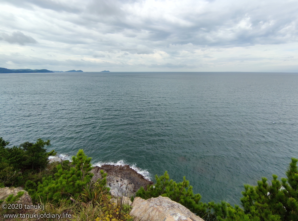 f:id:psptanukij:20201130180407j:plain