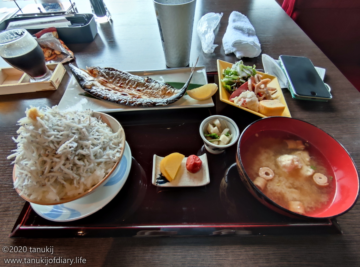 f:id:psptanukij:20201130181157j:plain