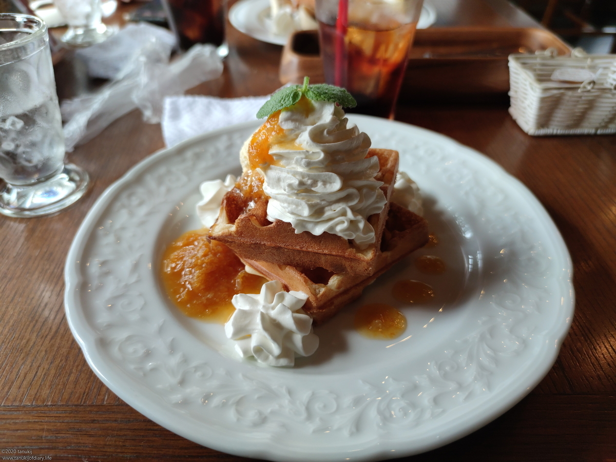 f:id:psptanukij:20201130181801j:plain