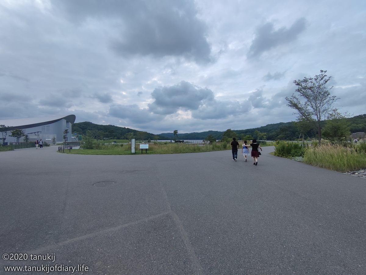 f:id:psptanukij:20210819000043j:plain