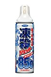 フマキラー 殺虫スプレー 凍殺ジェット 300ml