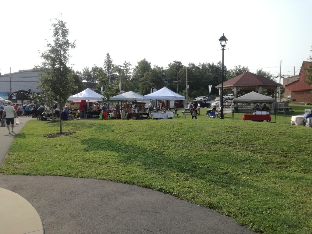 f:id:psychcanada:20180830110749j:plain f:id:psychcanada:20180830110749j:plain