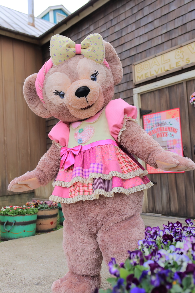 一眼レフ設定】ダッフィー・シェリーメイのグリーティング【ハート