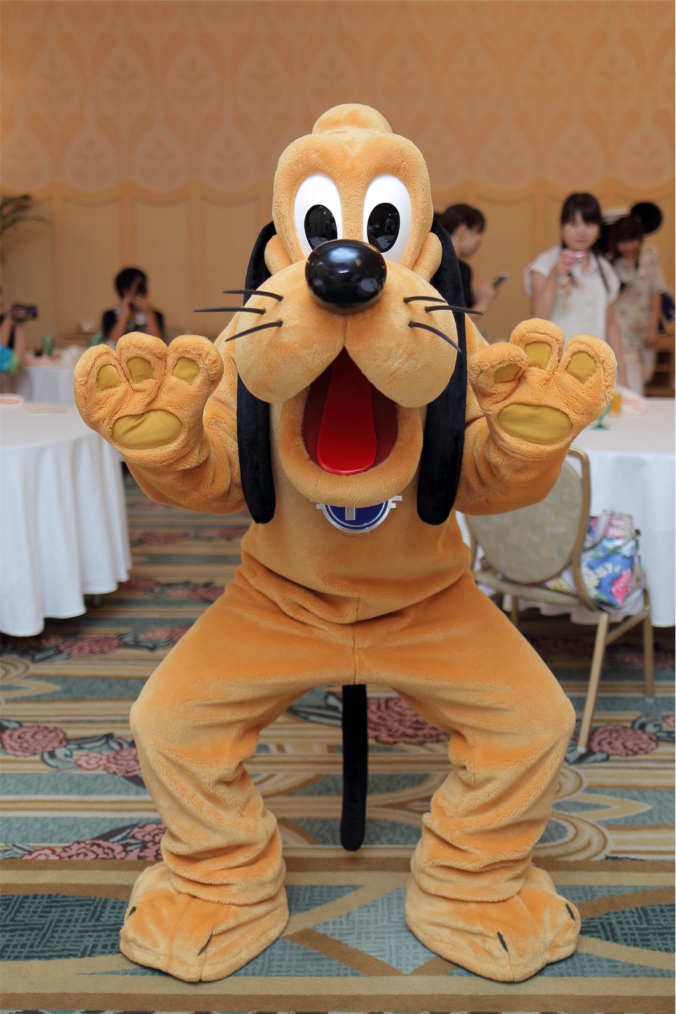 f:id:psyche8137143:20190225082009j:image f:id:psyche8137143:20190225082009j:image