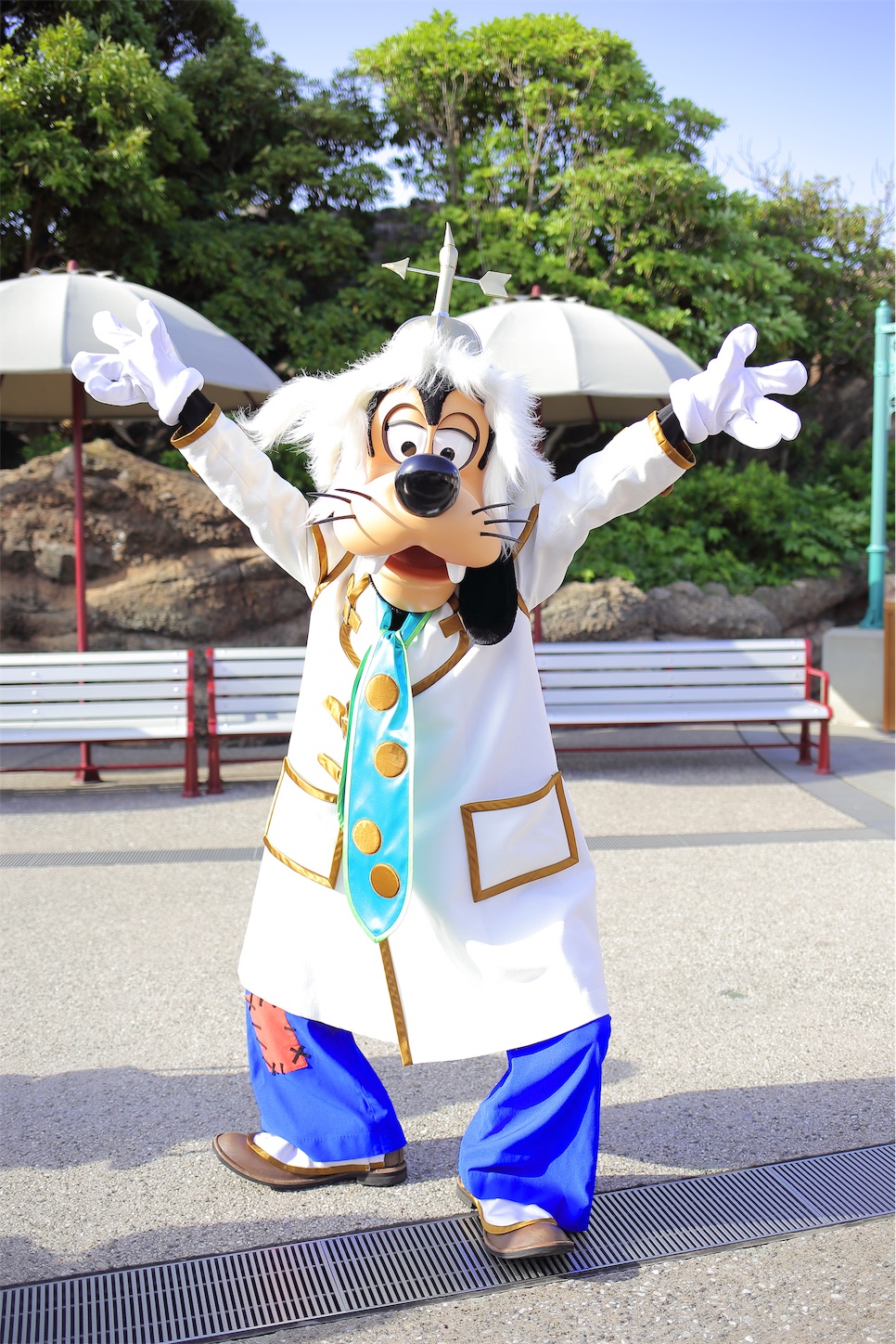 f:id:psyche8137143:20190525101332j:image f:id:psyche8137143:20190525101332j:image