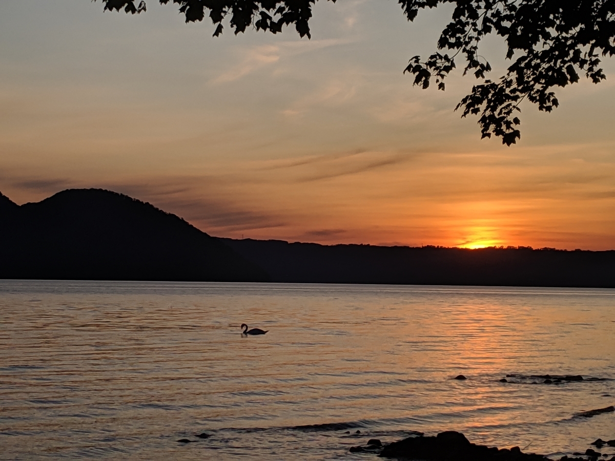 f:id:psychic_sn:20190906121532j:plain f:id:psychic_sn:20190906121532j:plain