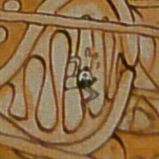 ワンピース単行本のカバーを開けると 面白い表紙と裏表紙 Oceanview