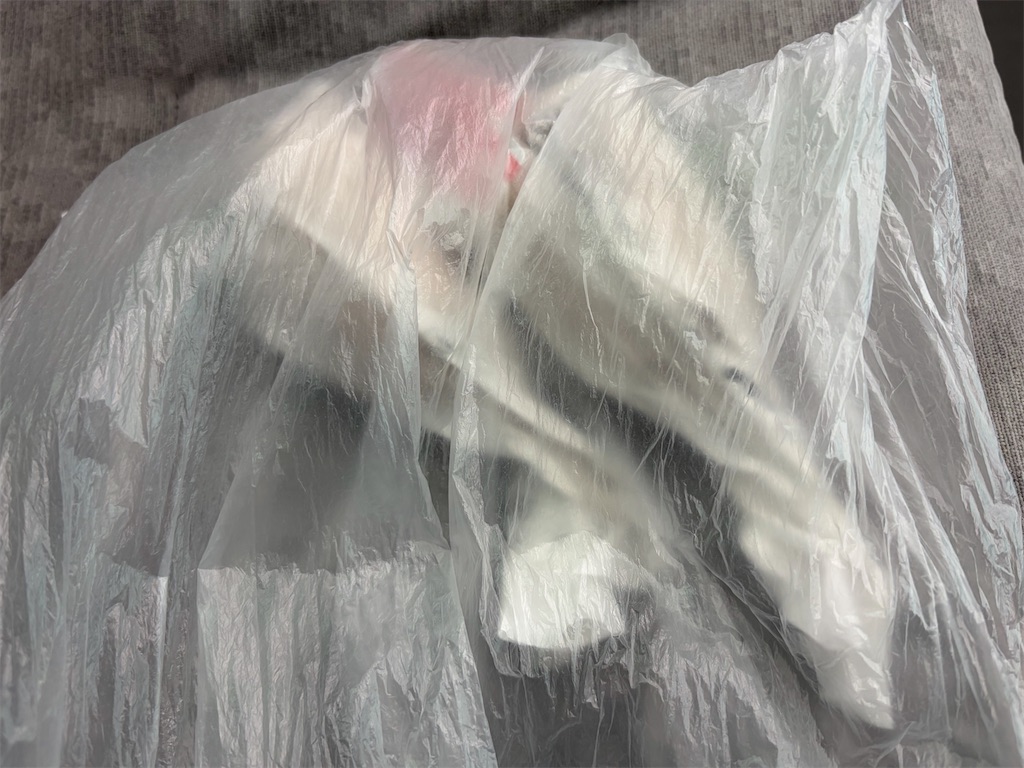 f:id:psyun:20260830093158j:image f:id:psyun:20260830093158j:image