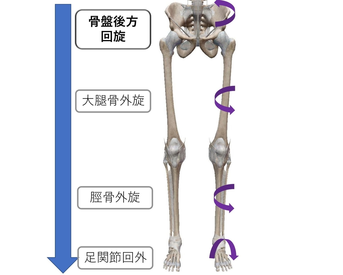 いつ救急医療を受けるべきか