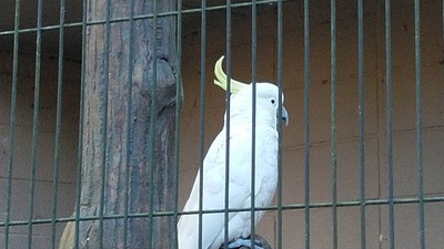 野鳥の森05